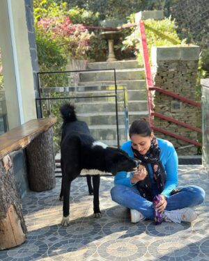 Rishina Kandhari Instagram - #doginist #himalayandog #himachaldiaries 🩵