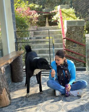 Rishina Kandhari Instagram - #doginist #himalayandog #himachaldiaries 🩵