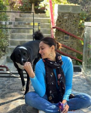 Rishina Kandhari Instagram - #doginist #himalayandog #himachaldiaries 🩵