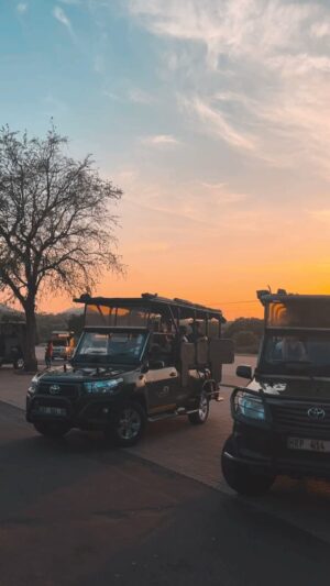 Rita Andrade Instagram - Kruger National Park 🇿🇦