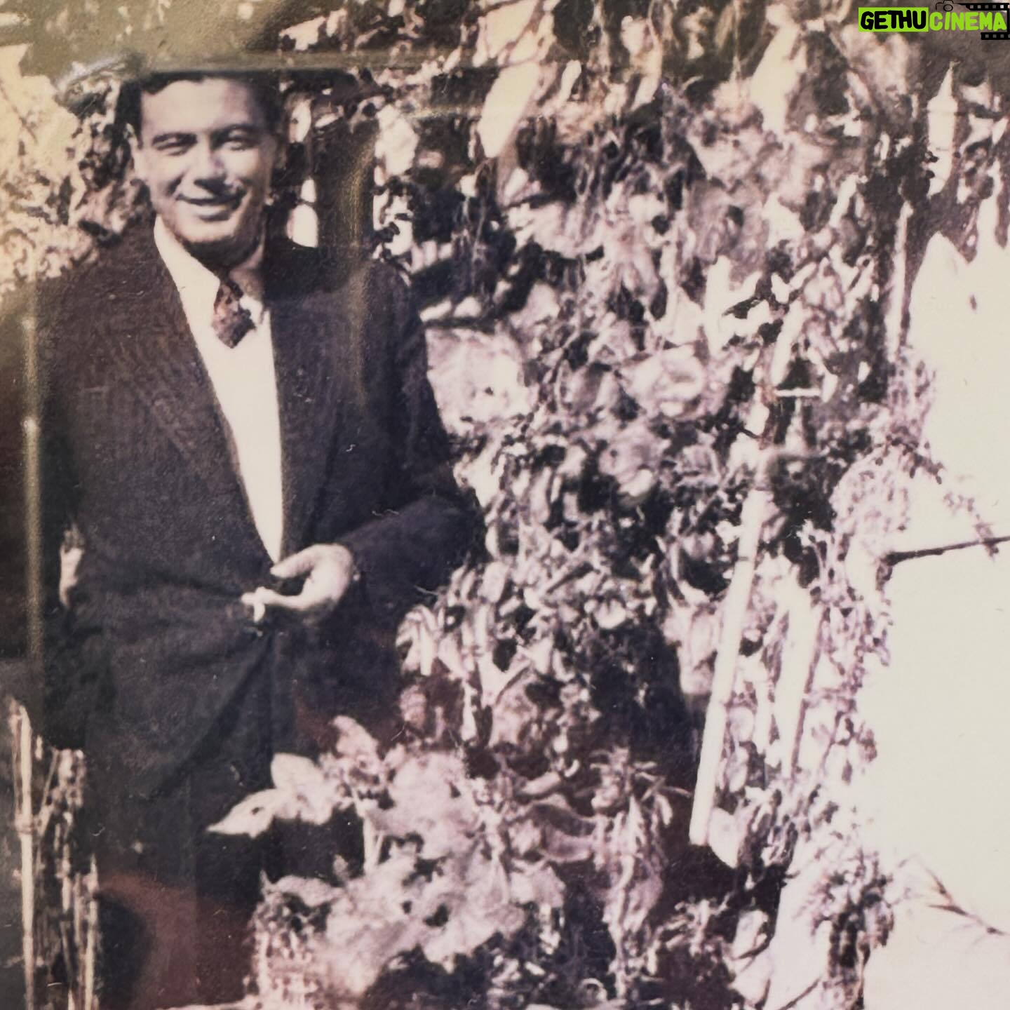 Rita Ferro Rodrigues Instagram - Eduardo Alberto Ferro Rodrigues 🐘 Faria 100 anos hoje, o meu querido avô. Aconteceria uma grande festa - ele gostava de fazer anos e ainda gostava mais de festas. Era um homem muito alto, e na juventude muito giro e talvez uma das pessoas mais carismáticas que conheci porque captava a atenção de todos a contar histórias, quando ria a gargalhada ecoava por quarteirões seguidos, era a alma de qualquer convívio, abraçava demoradamente, era o meu “ elefante” matricial, a pessoa de quem penso ter herdado alguma poesia e vontade de olhar o mundo com ternura e esperança. Dele herdei também comoção infantil com o belo. Recebeu a medalha de Honra dos 80 anos da Sociedade Portuguesa de Autores, juntamente com Raul Solnado, Igrejas Caeiro, Alçada Baptista, Lagoa Henriques, Urbano Tavares Rodrigues, entre outros. Escreveu dezenas de peças teatro e foi autor de vários programas de rádio, entre os quais os “Parodiantes de Lisboa”. Fazia dupla de escrita de grande sucesso com o seu amigo de vida, Santos Fernando. Enquanto autor, antes do 25 de Abril , foi muitas vezes alvo de censura dos textos que escreveu para a rádio e teatro, era muito crítico dos regimes de Oliveira Salazar e Marcelo Caetano. Adorava viver e viveu com muita intensidade , liberdade ( mesmo quando a ditadura reprimia ) e alegria. Foi a pessoa em toda a minha vida que mais acreditou em mim - no sentido de me fazer sentir que tinha super poderes para ser o que quisesse. Não há um dia da minha vida em que “ não fale com ele” antes de adormecer. Deixo -vos esta homenagem ao seu nascimento porque sei que o deixaria muito feliz. E uma frase que me escreveu numa troca de cartas que leio e releio sempre que preciso : “Mas todos temos o direito de esperar a Esperança das Esperanças. E nós amamos a Vida e Amamos este Planeta, a Mulher, o Homem, a Natureza e este Universo, onde somos parte duma réstia de deslumbrada poeira. Vamos entrar nesta Aventura, de mãos dadas, como sempre temos caminhado.” ✨