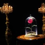 Rita Moreno Instagram - Just a few more short hours until we watch #BeautyAndTheBeast30th, tonight at 8/7c on @abcnetwork and Stream next day on @disneyplus and @hulu!