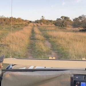Riya Ray Instagram - What an adventure!!! ❤️
.
.
.
P.S : if you are planning an African safari soon , please don’t think twice :)