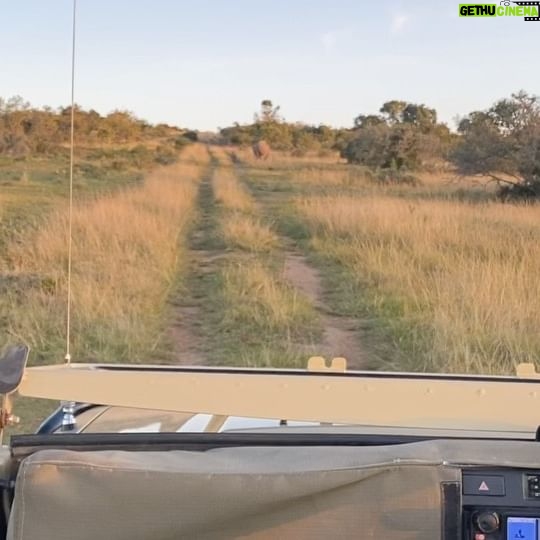 Riya Ray - 3 Likes - What an adventure!!! ❤️
.
.
.
P.S : if you are planning an African safari soon , please don’t think twice :)