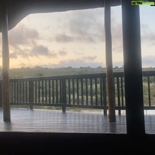 Riya Ray - 3 Likes - What an adventure!!! ❤️
.
.
.
P.S : if you are planning an African safari soon , please don’t think twice :)