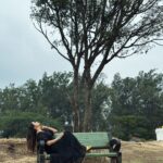 Riya Vishwanathan Instagram - 🖤 . . . #black #selflove #nature #favsong #vacation #nandhihills #riyavishwanathan