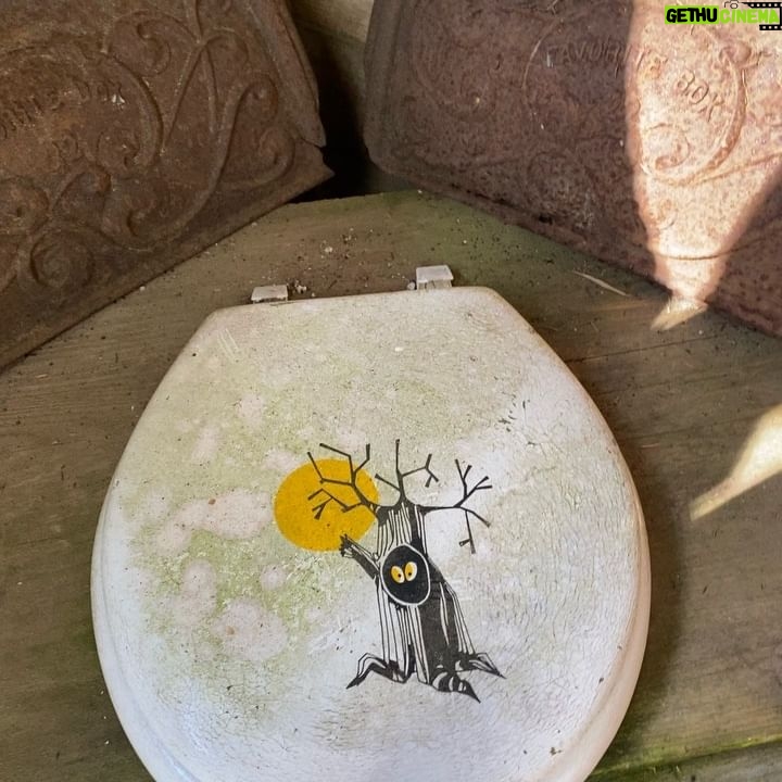 Roan Curtis - 3 Likes - Cabin coming out of hibernation, we are nature girls again 🐿️