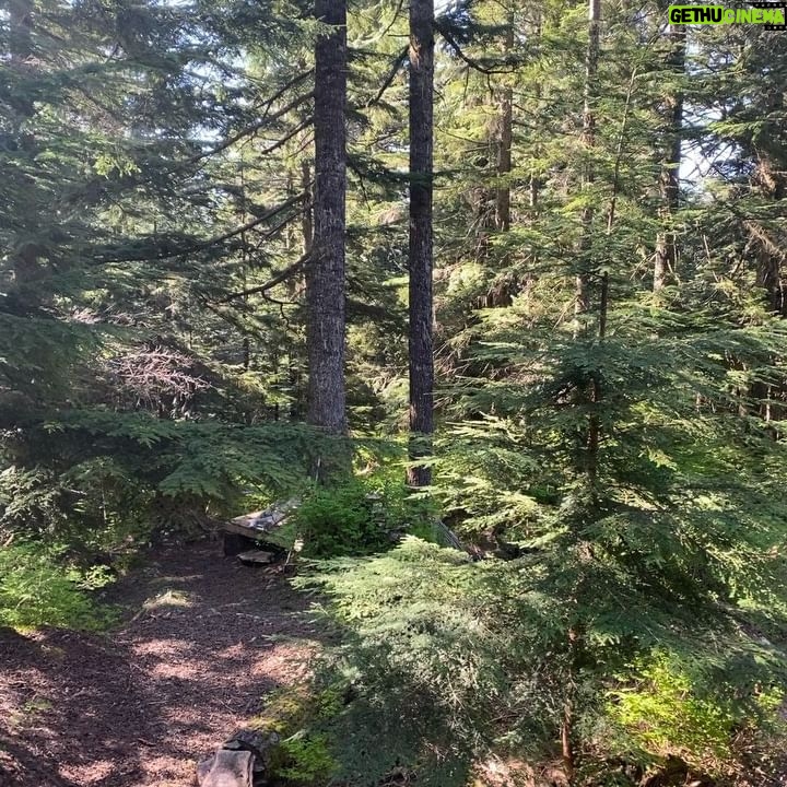 Roan Curtis - 3 Likes - Cabin coming out of hibernation, we are nature girls again 🐿️