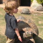 Robin Tunney Instagram – @msmichelehicks called in some favors and treated Oscar to one of the greatest days of his life. Thank you @turtleconservancy it was magical.