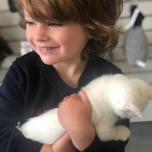 Robin Tunney Instagram - Happy National Son’s day Oscar Holly Marmet. Who decides when these days are? I feel like it’s never ending. Btw, this kitten is up for adoption at @poshpetcare in West Hollywood. She’s super playful and Oscar wanted her but allegedly we’re getting an iguana instead. If someone wants a cat and you live in California. Go and get this little sweetie.