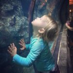 Robyn Brown Instagram - The wonder of being little. Ari is so curious about the world around her. She talks sooo much for her age and she just wants to figure it all out now! So much thinking going on in that little mind it scary and exciting at the same time. #ilovebeingamommy #springbreak #awonderful2018 #princesspants #sharkreef