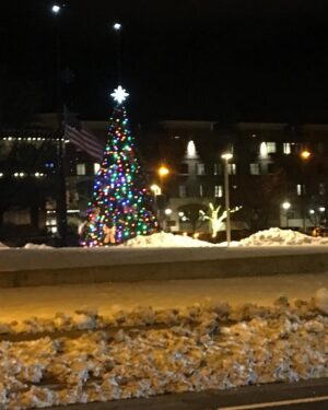 Robyn Brown Instagram - It is a strange thing for me but I am loving all aspects of the snow.  Something about it is making me giddy.  I love the smell of the snow...driving carefully in it.. bundling up...how the night lights up when it is on the ground.  Something about it makes me feel alive and peaceful.  I don’t understand it but I like it.  #awonderfullife  #lovingit  #snowfun