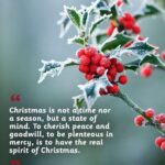 Robyn Brown Instagram - Merry Christmas today and everyday this year everyone! May you find peace, goodwill, mercy and love always. May God bless each of you.