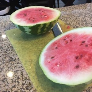Robyn Brown Instagram - Watermelon from my garden!  They are so delicious!  Dayton helps me so much in my garden and it is because of him that we are enjoying these melons.  He is such a renaissance man.  #ilovebeingamom  #hemakesmeproud  #watermelononmychin #watermeloninthesummertime #awondefullife