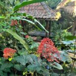Romina Power Instagram - Cammino scalza, leggera sulla terra, mi nutro di fiori e di bellezza …