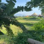 Romina Power Instagram - Cammino scalza, leggera sulla terra, mi nutro di fiori e di bellezza …