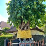 Romina Power Instagram - E il viaggio a Bali continua da Ubud alla costa …