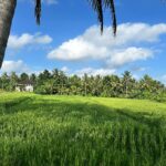 Romina Power Instagram - Le risaie di Ubud