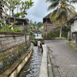 Romina Power Instagram - Immagini di Bali bei paraggi di Ubud