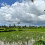 Romina Power Instagram - Immagini di Bali bei paraggi di Ubud