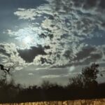 Romina Power Instagram –