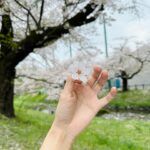 Ron Monroe Instagram - 樱の季節が終わらないでほしいな #お花見 #さくら #樱花