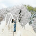 Ron Monroe Instagram - 🌸短い時間だったけど綺麗だった 📷 @wm.cangmin