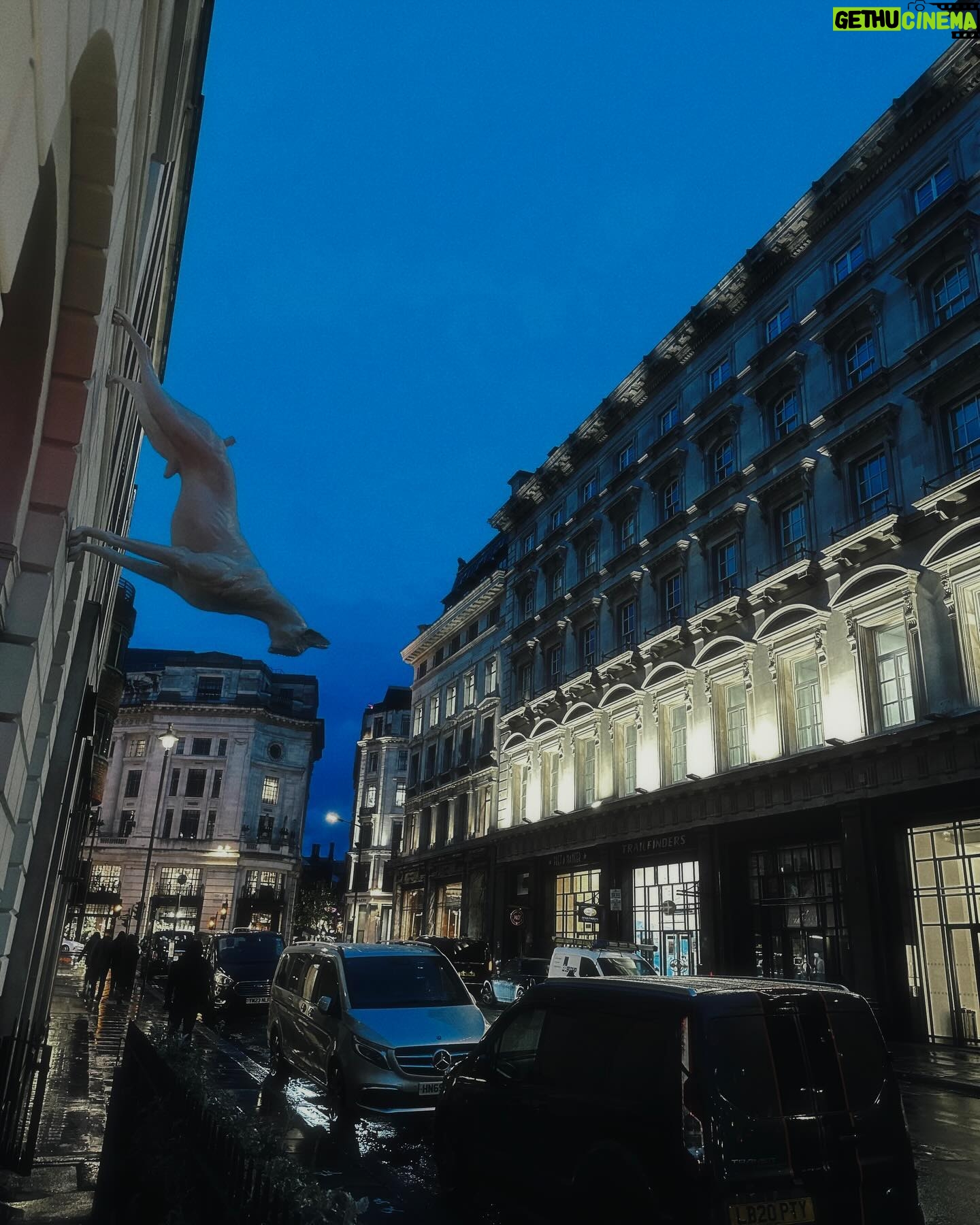 Rosa Linn Instagram - If I ever choose to disappear, look for me in London!