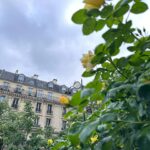 Rosa Linn Instagram - beautiful Paris 🤍