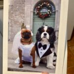 Rosalie Vaillancourt Instagram - Voici, mes invitations pour notre mariage. On se marie la semaine prochaine, vous ne pouviez pas tous être invités parce qu’on a décidé de faire ça juste avec la famille. On se reprendra à mes funérailles au pire! Si vous voulez me donner un cadeau de noces, ce serait d’achetez des billets pour mon spectacle Milf.