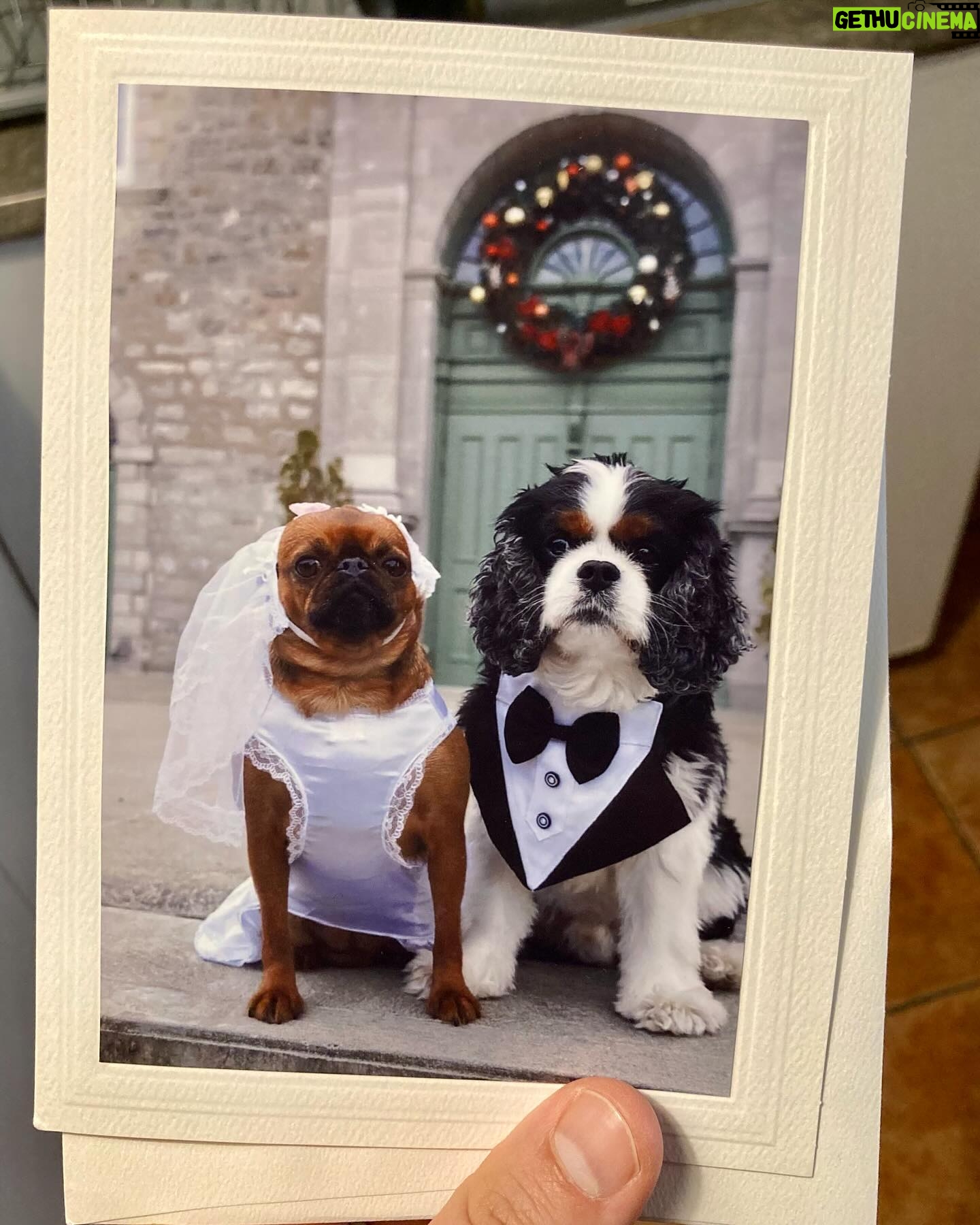 Rosalie Vaillancourt Instagram - Voici, mes invitations pour notre mariage. On se marie la semaine prochaine, vous ne pouviez pas tous être invités parce qu’on a décidé de faire ça juste avec la famille. On se reprendra à mes funérailles au pire! Si vous voulez me donner un cadeau de noces, ce serait d’achetez des billets pour mon spectacle Milf.
