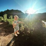 Rosanne Mulholland Instagram - A felicidade que vem da terra. Sempre quis levar o Davi em uma grande plantação orgânica, pra que ele tivesse esse contato com o alimento fresco, compreendesse o processo de plantar e colher, visse as folhas mais bonitas, mais cheirosas... Mas nunca imaginei que seria tão legal! Ele ficou eufórico, interessado, curioso, luminoso. Queria experimentar tudo, saber tudo, mexer em tudo. Agradeço de coração à equipe do @ibitiprojeto pela atenção e carinho com meu filho. Foi uma experiência marcante e muito feliz. O melhor lugar pra uma criança é sempre a natureza! @ibitiprojeto @valentinaseabra