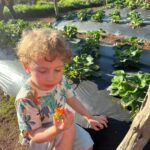 Rosanne Mulholland Instagram – A felicidade que vem da terra. 

Sempre quis levar o Davi em uma grande plantação orgânica, pra que ele tivesse esse contato com o alimento fresco, compreendesse o processo de plantar e colher, visse as folhas mais bonitas, mais cheirosas… Mas nunca imaginei que seria tão legal! Ele ficou eufórico, interessado, curioso, luminoso. Queria experimentar tudo, saber tudo, mexer em tudo. Agradeço de coração à equipe do @ibitiprojeto pela atenção e carinho com meu filho. Foi uma experiência marcante e muito feliz. 

O melhor lugar pra uma criança é sempre a natureza! 

@ibitiprojeto 
@valentinaseabra
