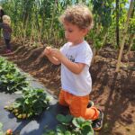 Rosanne Mulholland Instagram – A felicidade que vem da terra. 

Sempre quis levar o Davi em uma grande plantação orgânica, pra que ele tivesse esse contato com o alimento fresco, compreendesse o processo de plantar e colher, visse as folhas mais bonitas, mais cheirosas… Mas nunca imaginei que seria tão legal! Ele ficou eufórico, interessado, curioso, luminoso. Queria experimentar tudo, saber tudo, mexer em tudo. Agradeço de coração à equipe do @ibitiprojeto pela atenção e carinho com meu filho. Foi uma experiência marcante e muito feliz. 

O melhor lugar pra uma criança é sempre a natureza! 

@ibitiprojeto 
@valentinaseabra