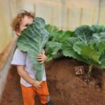 Rosanne Mulholland Instagram – A felicidade que vem da terra. 

Sempre quis levar o Davi em uma grande plantação orgânica, pra que ele tivesse esse contato com o alimento fresco, compreendesse o processo de plantar e colher, visse as folhas mais bonitas, mais cheirosas… Mas nunca imaginei que seria tão legal! Ele ficou eufórico, interessado, curioso, luminoso. Queria experimentar tudo, saber tudo, mexer em tudo. Agradeço de coração à equipe do @ibitiprojeto pela atenção e carinho com meu filho. Foi uma experiência marcante e muito feliz. 

O melhor lugar pra uma criança é sempre a natureza! 

@ibitiprojeto 
@valentinaseabra