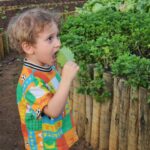 Rosanne Mulholland Instagram – A felicidade que vem da terra. 

Sempre quis levar o Davi em uma grande plantação orgânica, pra que ele tivesse esse contato com o alimento fresco, compreendesse o processo de plantar e colher, visse as folhas mais bonitas, mais cheirosas… Mas nunca imaginei que seria tão legal! Ele ficou eufórico, interessado, curioso, luminoso. Queria experimentar tudo, saber tudo, mexer em tudo. Agradeço de coração à equipe do @ibitiprojeto pela atenção e carinho com meu filho. Foi uma experiência marcante e muito feliz. 

O melhor lugar pra uma criança é sempre a natureza! 

@ibitiprojeto 
@valentinaseabra