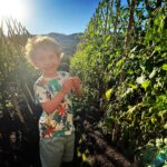 Rosanne Mulholland Instagram – A felicidade que vem da terra. 

Sempre quis levar o Davi em uma grande plantação orgânica, pra que ele tivesse esse contato com o alimento fresco, compreendesse o processo de plantar e colher, visse as folhas mais bonitas, mais cheirosas… Mas nunca imaginei que seria tão legal! Ele ficou eufórico, interessado, curioso, luminoso. Queria experimentar tudo, saber tudo, mexer em tudo. Agradeço de coração à equipe do @ibitiprojeto pela atenção e carinho com meu filho. Foi uma experiência marcante e muito feliz. 

O melhor lugar pra uma criança é sempre a natureza! 

@ibitiprojeto 
@valentinaseabra