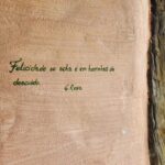 Rosanne Mulholland Instagram – Mais sobre #ibitipoca 
🌿✨️
@ibitiprojeto 
@valentinaseabra