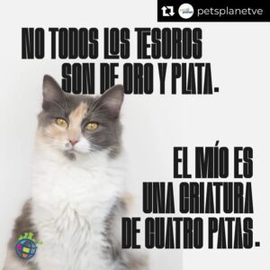 Rosario Prieto Instagram - Repost from @petsplanetve
•
Sabemos lo importante que es tu peludo, no solo como mascota bajo tu cuidado, sino como una criatura especial capaz de proporcionarte tranquilidad, alegría y amor.

Es por esto que disponemos de los productos y servicios de la mejor calidad 💕✨

🐶 Además, los domingos disfrutarás de 10% DE DESCUENTO en tu compra 🐱
-
-
-
-
-
-
#Delivery #frases #mascotas #PetsPlanet #petstagram #instapets #parati  #MascotasVenezuela #Veterinario #ConsultaVeterinaria
@petsplanetve Amor infinito por las mascotas 🥰🤗