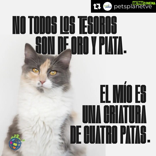 Rosario Prieto - 190 Likes - Repost from @petsplanetve
•
Sabemos lo importante que es tu peludo, no solo como mascota bajo tu cuidado, sino como una criatura especial capaz de proporcionarte tranquilidad, alegría y amor.
Es por esto que disponemos de los productos y servicios de la mejor calidad 💕✨
🐶 Además, los domingos disfrutarás de 10% DE DESCUENTO en tu compra 🐱
-
-
-
-
-
-
#Delivery #frases #mascotas #PetsPlanet #petstagram #instapets #parati #MascotasVenezuela #Veterinario #ConsultaVeterinaria
@petsplanetve Amor infinito por las mascotas 🥰🤗