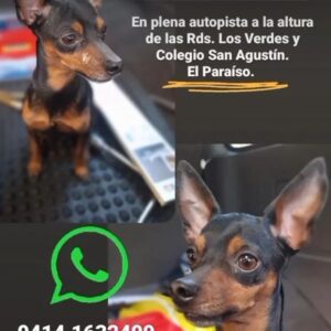 Rosario Prieto Instagram - 