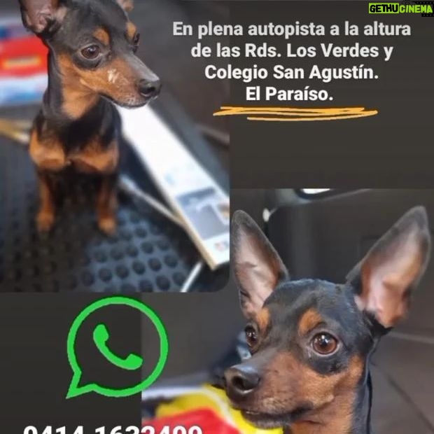 Rosario Prieto - 177 Likes -