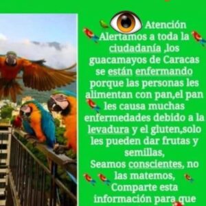 Rosario Prieto Instagram - 