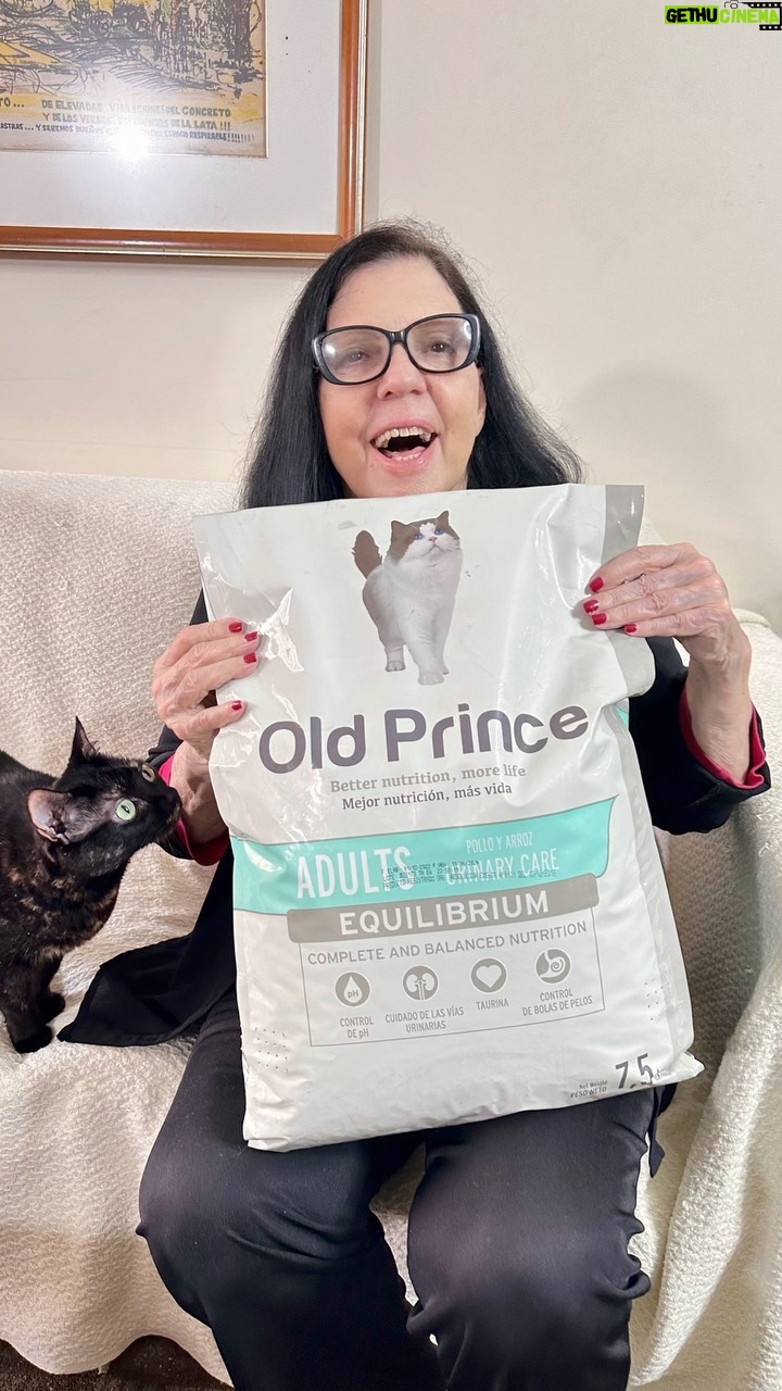 Rosario Prieto - 275 Likes - Gracias a mis amigos de @petsplanetve por enviarme el alimento para mis mascotas.
En @petsplanetve puedes encontrar todo lo que necesites para tus mascotas, cuentan con servicio delivery por toda la Gran Caracas.
.
Visítalos en sus establecimientos:
📍Caracas:
La Trinidad, La Carlota, Cerró Verde.
📍Valencia:
El Viñedo, San Diego.
#mascotas #alimentos #gatos