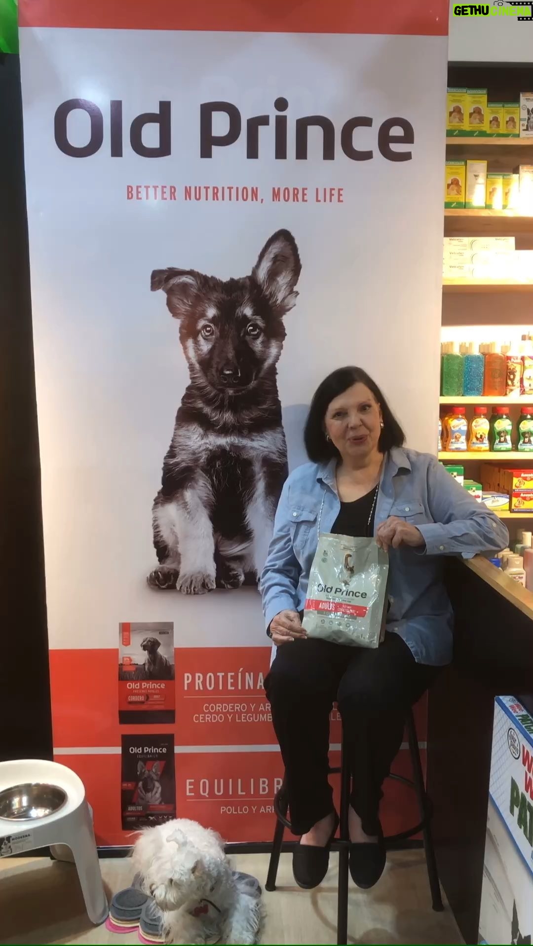 Rosario Prieto - 164 Likes - Gracias @petsplanetve 🥰Visítanos desde ya en nuestra nueva sede, en Parque Cerro Verde! 🐕💖🌎
Queremos agradecer a nuestros aliados
Por creer, confiar y ser partícipes de este proyecto que construimos con el corazón, y el Amor Infinito por las mascotas.
Te invitamos a Pet's Planet, donde los protagonistas son los peluditos de cuatro patas de la casa 🐩🐈🐾
Te esperamos en nuestro cómodo horario
Lunes a Sábado
9:00am a 8:00pm
Domingo
10:00am a 6:00pm
Pets Planet
♥️ Tu Mundo Ideal 💕
#parquecerroverde #veterinaria #mascotas #instapets #petstagram #amorperruno #amorporlosgatos #gatos #cachorros #caracas #elhatillo #losnaranjos