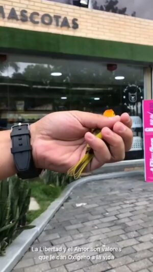 Rosario Prieto Instagram - Repost from @petsplanetve
•
Una pieza de lujo como regalo a las madres.

El crecimiento personal, profesional, emocional y espiritual solo es posible cuando entendemos que es el Amor por nosotros y por todo lo que nos rodea, el único valor que cuenta para realmente marcar la diferencia. 

Crecer organicamente es la clave del éxito en todo lo que nos propongamos. 

Gracias a todos nuestros colaboradores y a nuestra leal clientela por siempre elegirnos.

Es un privilegio siempre atenderles.

Pets Planet
Amor 💗 Infinito por las Mascotas

#ConectadosConElAmorInfinito 
#Delivery #Mascotas #PetsPlanet #Caracas #Venezuela #Amor #Viral #MascotasVenezuela #PetsVenezuela #Pets #Amor #Alimentoparamascotas #Veterinario #ConsultaVeterinaria #Repost #Viral #Instapet #instadaily #instapets #emprendedores #valencia #elviñedo #lacarlota #latrinidad #maracay
@petsplanetve Amor infinito por las mascotas 🤗