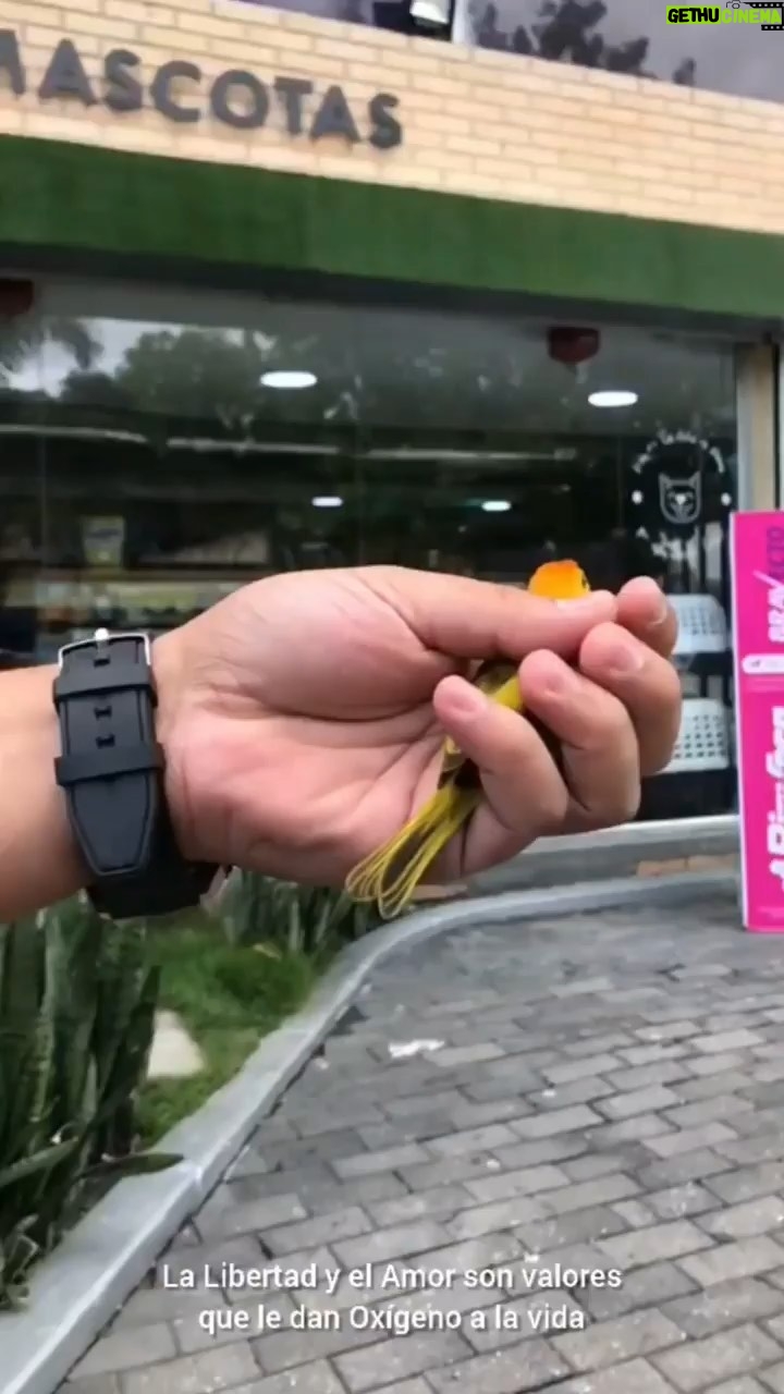 Rosario Prieto - 148 Likes - Repost from @petsplanetve
•
Una pieza de lujo como regalo a las madres.
El crecimiento personal, profesional, emocional y espiritual solo es posible cuando entendemos que es el Amor por nosotros y por todo lo que nos rodea, el único valor que cuenta para realmente marcar la diferencia.
Crecer organicamente es la clave del éxito en todo lo que nos propongamos.
Gracias a todos nuestros colaboradores y a nuestra leal clientela por siempre elegirnos.
Es un privilegio siempre atenderles.
Pets Planet
Amor 💗 Infinito por las Mascotas
#ConectadosConElAmorInfinito
#Delivery #Mascotas #PetsPlanet #Caracas #Venezuela #Amor #Viral #MascotasVenezuela #PetsVenezuela #Pets #Amor #Alimentoparamascotas #Veterinario #ConsultaVeterinaria #Repost #Viral #Instapet #instadaily #instapets #emprendedores #valencia #elviñedo #lacarlota #latrinidad #maracay
@petsplanetve Amor infinito por las mascotas 🤗