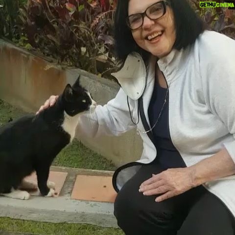 Rosario Prieto - 445 Likes - 📍Caracas
-Av. Principal La Carlota
-La Trinidad, CC Expreso Baruta
📍Valencia
-El Viñedo, CC Otama
Pets Planet
Amor 💕 Infinito por las Mascotas
#Delivery #Mascotas #PetsPlanet #Caracas #Venezuela #Amor #Viral #MascotasVenezuela #PetsVenezuela #Pets #Amor #Alimentoparamascotas #Veterinario #ConsultaVeterinaria #instapets #valencia #elviñedo #lacarlota #latrinidad
@petsplanetve Amor infinito por las
mascotas 🤗