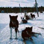 Rose Ayling-Ellis Instagram - Lapland 🇫🇮