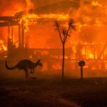 Rose Byrne Instagram – my beautiful home of Australia  is suffering thru their worst wildfire season in recorded history.  19 people have died, half a billion animals , 14.5 million acres of land. My heart is breaking 💔 please, if you have the means, donate to one these incredible organizations to help 🙏🏼 @nswrfs 
@redcrossau 
@cfavic
@salvosau
@wireswildliferescue 
@1300koala